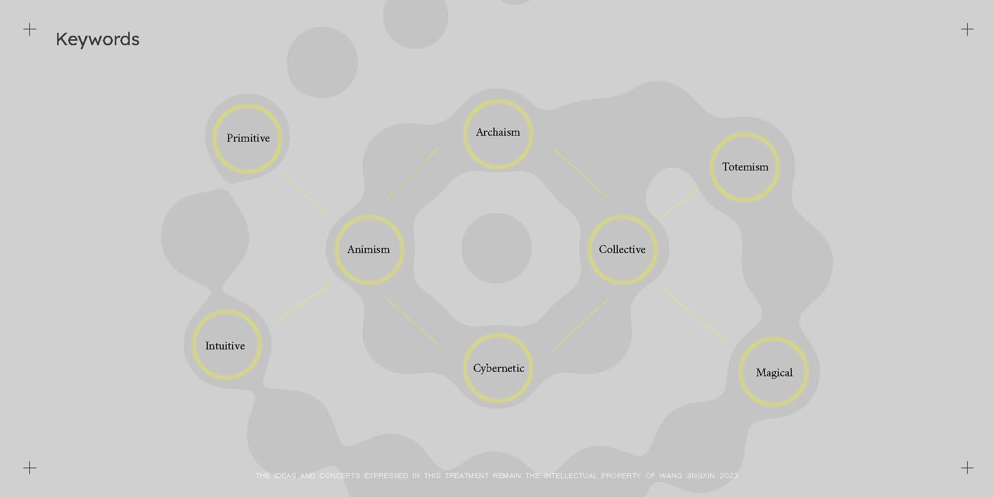 Wang Jingxin Event AsymmetryRitual Concept