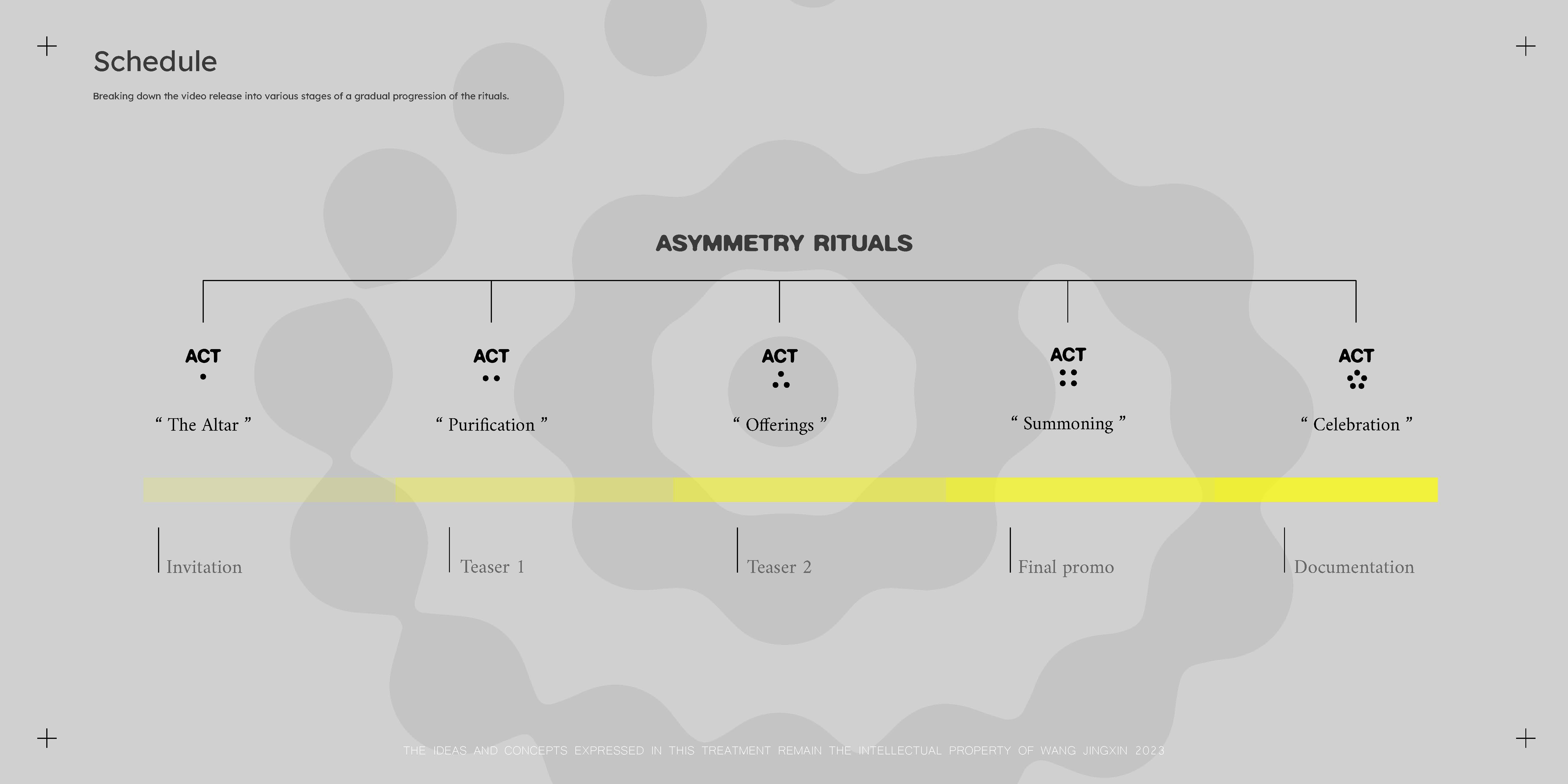 Wang Jingxin Event AsymmetryRitual Concept