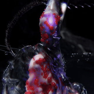 Wang Jingxin Softcentre Vivid Sydnye Visual